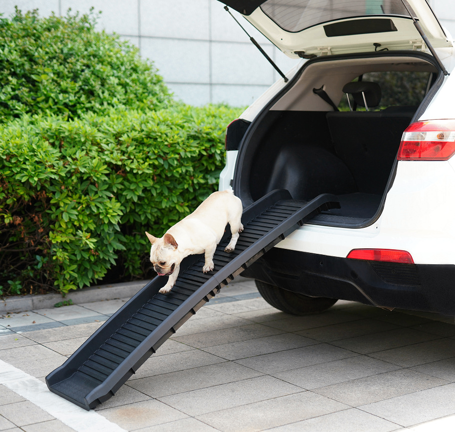 Pet Safe Portable Folding Ramp