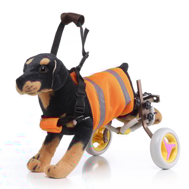 Comfort Paws Pet Wheelchair