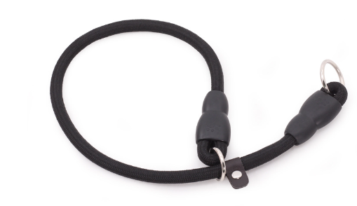 All-Breed Nylon Training Collar