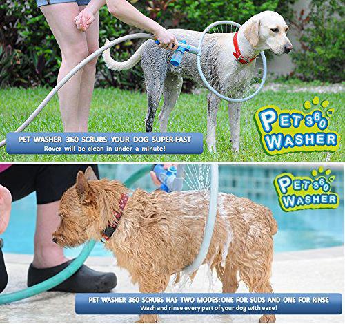 Pet Spa Bathing Circle