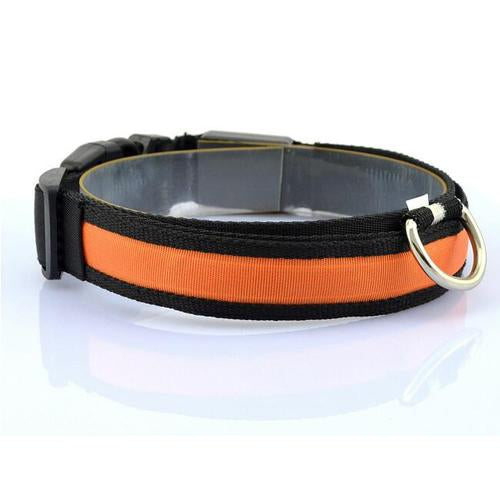 Glowing Pet Safety Collar