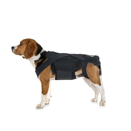 Canine Recovery Support Vest