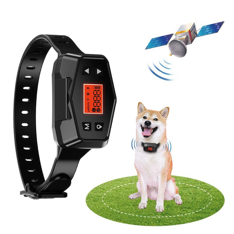Smart GPS Training Collar