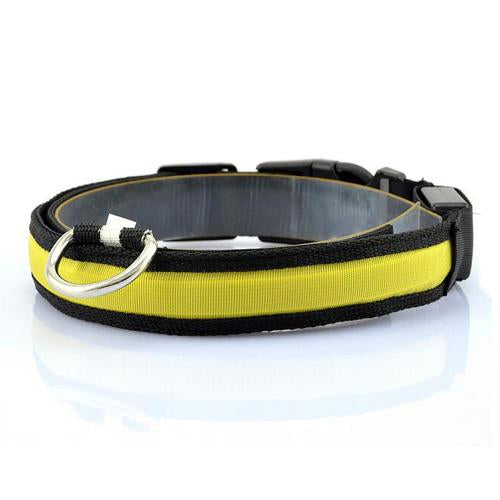 Glowing Pet Safety Collar