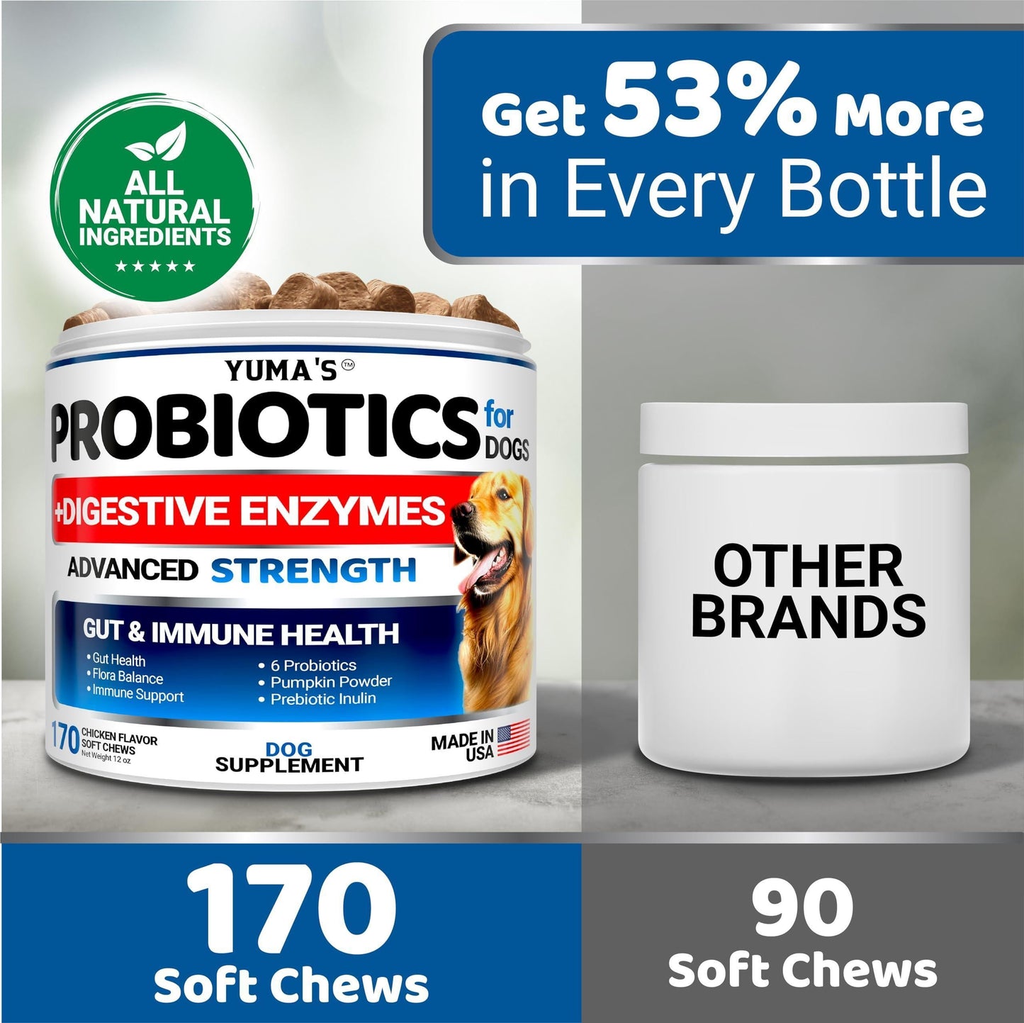 Healthy Gut Dog Probiotic Chews