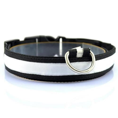 Glowing Pet Safety Collar