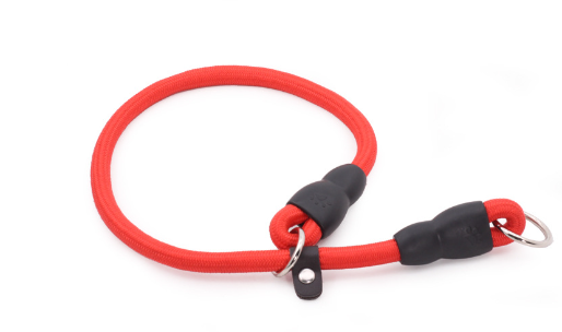 All-Breed Nylon Training Collar