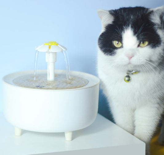 AquaPurr Silent Cat Fountain