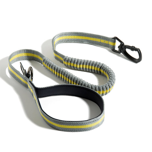 Bright SafeGlow Dog Leash