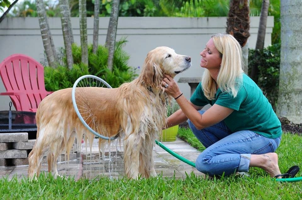 Pet Spa Bathing Circle