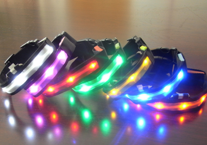 Glowing Pet Safety Collar