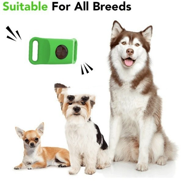 Flea & Tick Prevention Collar