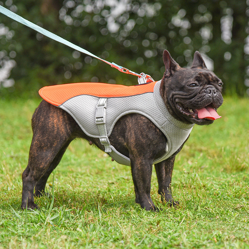 Chill Pet Vest