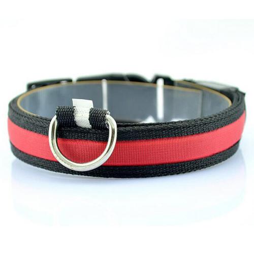 Glowing Pet Safety Collar
