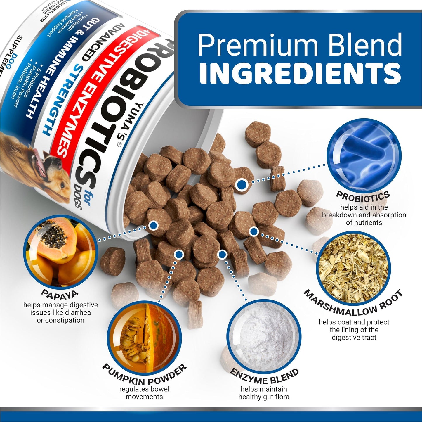 Healthy Gut Dog Probiotic Chews