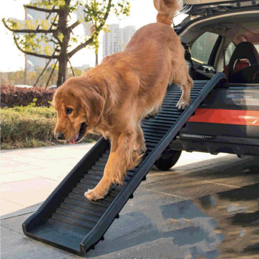 Pet Safe Portable Folding Ramp