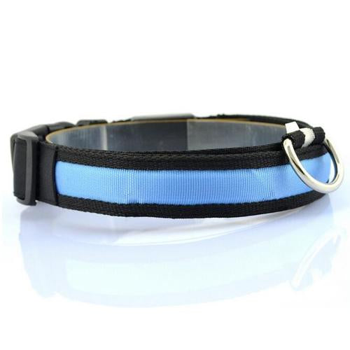 Glowing Pet Safety Collar