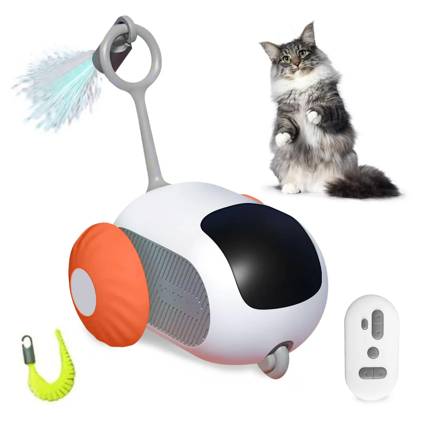 IntelliPlay Pet Chase
