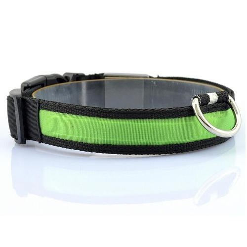 Glowing Pet Safety Collar