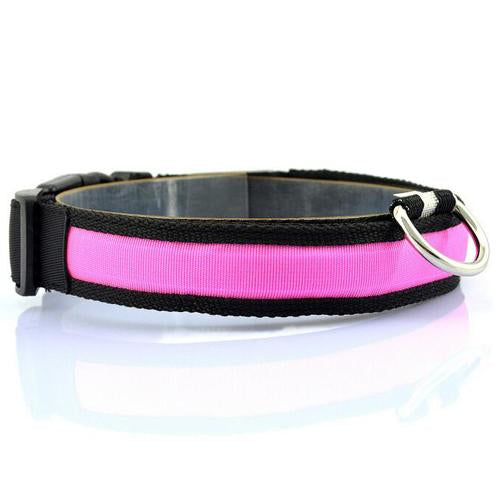 Glowing Pet Safety Collar